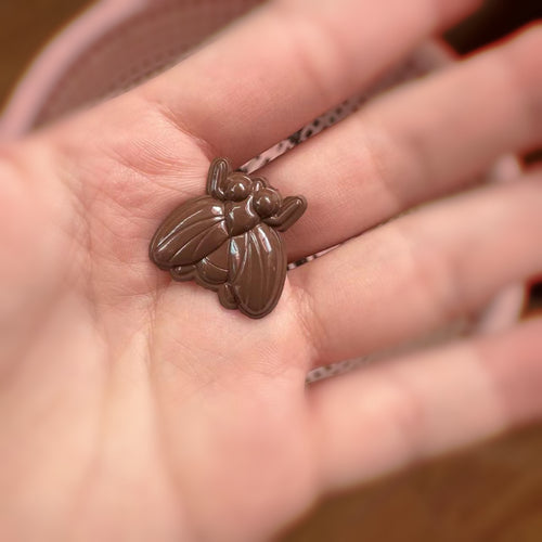Mini chocolate fly