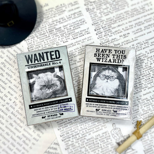 Picture Frame Edition | Wanted & hyst-Wizard? | Enamel Pin (2 variants)